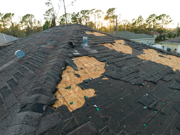 Best Roof Ventilation Installation  in Wilmerding, PA